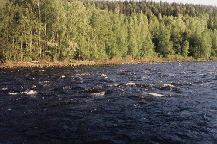 ammerfors.gif