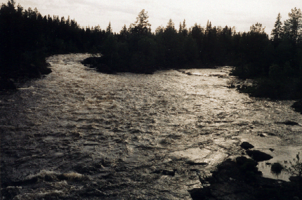 ammerfors2.gif